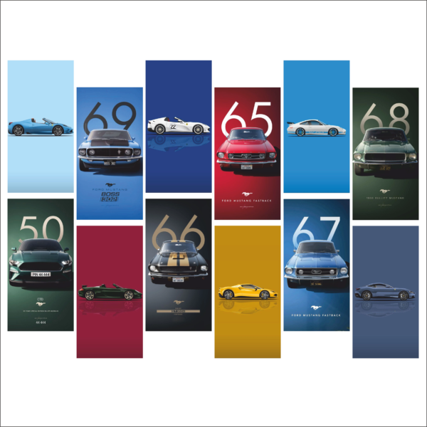 Car Collection