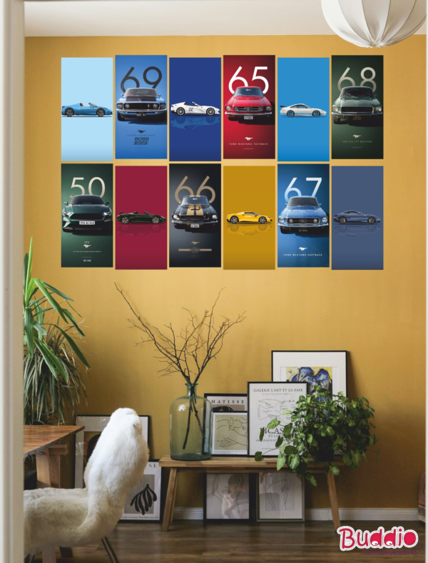 Car Collection