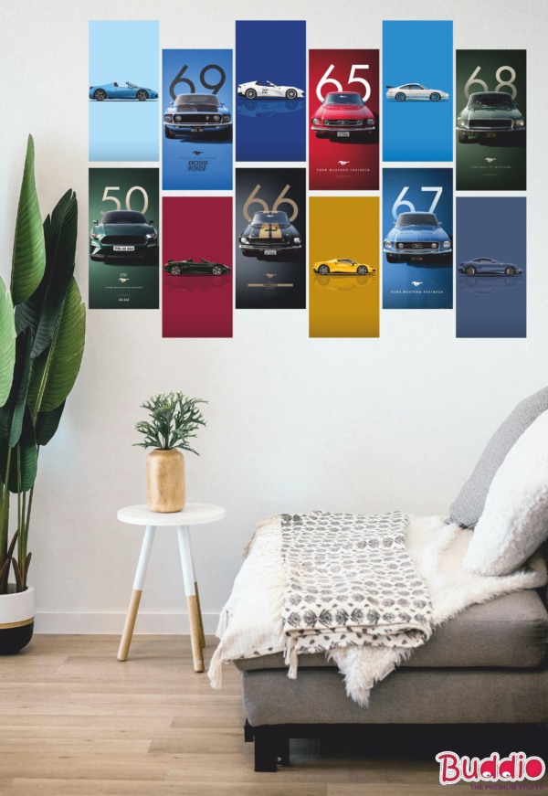 Car Collection