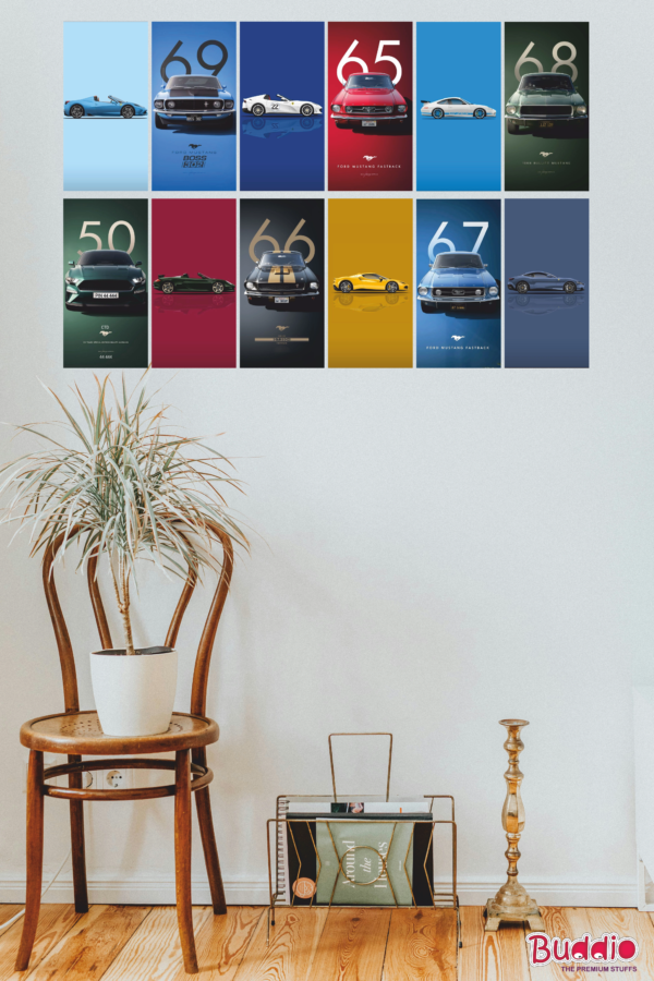 Car Collection