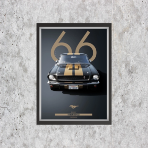 Car 66