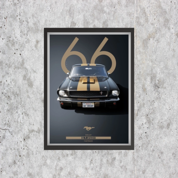 Car 66